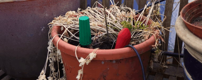 Smart Garden selber bauen: Meine 5 größten Fehler – und wie du sie dieses Gartenjahr vermeidest (Mit Smart Garden Hardware Liste)